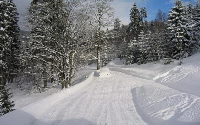 Pension Fontana Špindlerŭv Mlýn 外观 照片